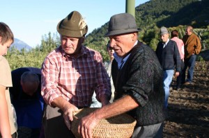 Tschengls Luise (39)