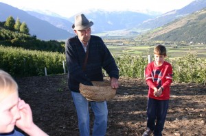 Tschengls Luise (42)