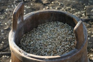 Tschengls Luise (45)