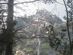 Tschengls Nov. Ende 661