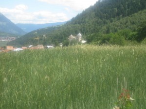 Tschengls Nov. Ende 729