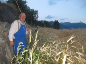 Tschengls Nov. Ende 808