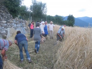 Tschengls Nov. Ende 817