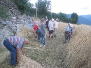 Tschengls Nov. Ende 818