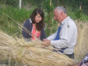 Tschengls Nov. Ende 832