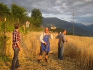 Tschengls Nov. Ende 838