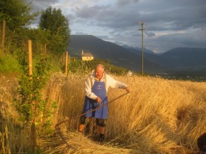 Tschengls Nov. Ende 840