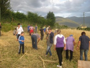 Tschengls Nov. Ende 845