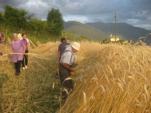 Tschengls Nov. Ende 847