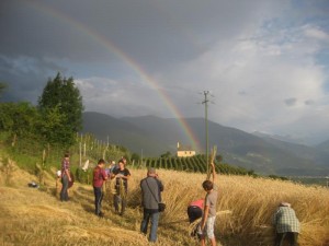 Tschengls Nov. Ende 877