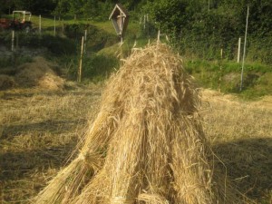 Tschengls Nov. Ende 883