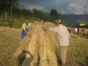 Tschengls Nov. Ende 885