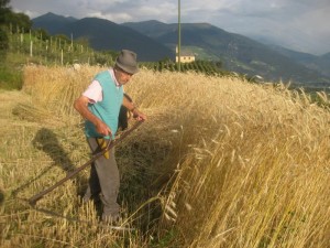 Tschengls Nov. Ende 886