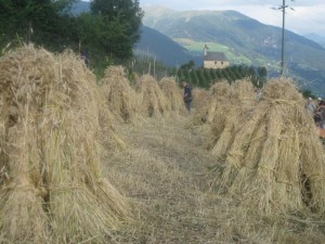 Tschengls Nov. Ende 889