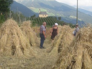 Tschengls Nov. Ende 891