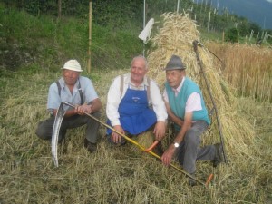 Tschengls Nov. Ende 892