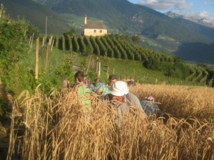 Tschengls Nov. Ende 643