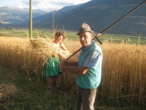 Tschengls Nov. Ende 651