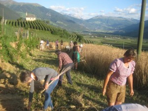 Tschengls Nov. Ende 659