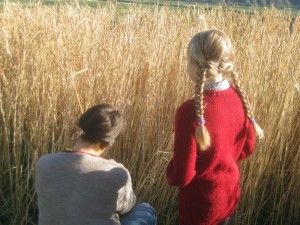 Tschengls Nov. Ende 661