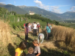 Tschengls Nov. Ende 667