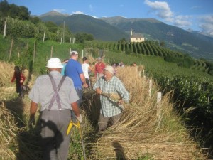 Tschengls Nov. Ende 668