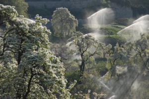 Die aufrichtigen und eigenen Erzählungen begeistern und werden zu einer blühenden Lebenslandschaft. Die Nacherzählungen und das Kopieren von tendenziösen Meinungen bereichern die Linie, die in der Sackgasse enden wird.