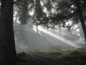 Tschengls Nov. Ende 638