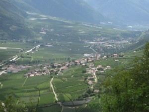 Tschengls Nov. Ende 741