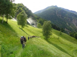 Tschengls Nov. Ende 807