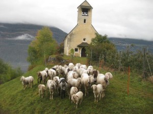 Ottiliakirche bei den alten Feldern 