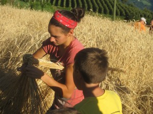 Tschengls Nov. Ende 1875