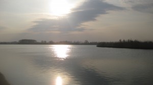 Etschmündung - "Da wo die Etsch und das Meer sich lieben"