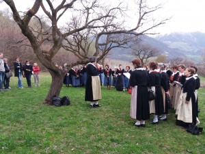 4. Marillebl. Zwölfmagrein und Algund